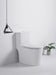 One Piece Regular Toilet - 3" Flush Valve