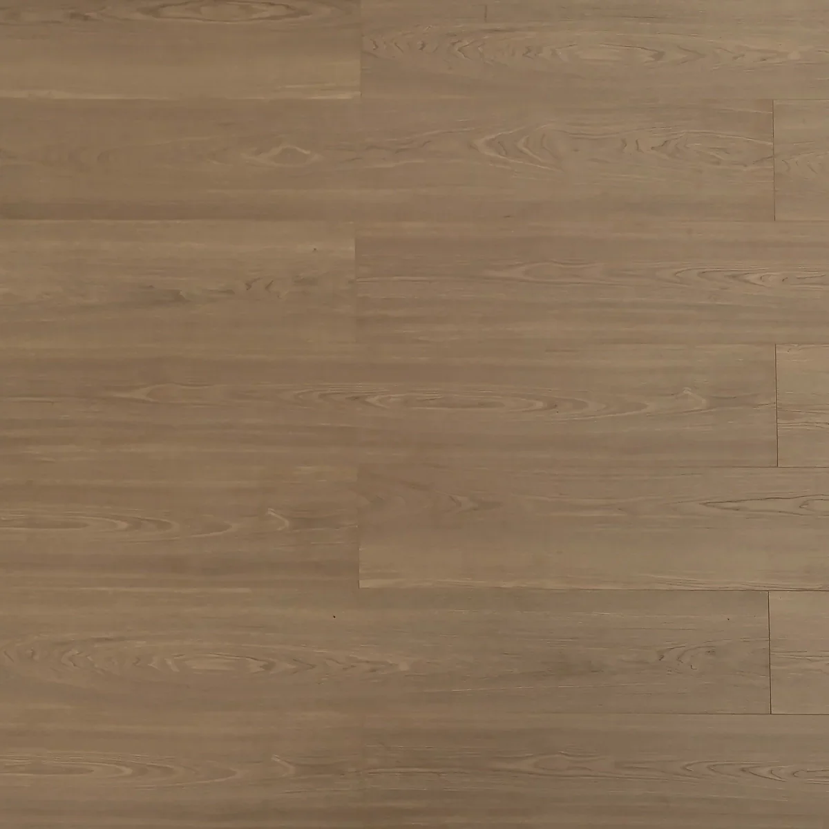 Grizzly Laminate Flooring – 12mm