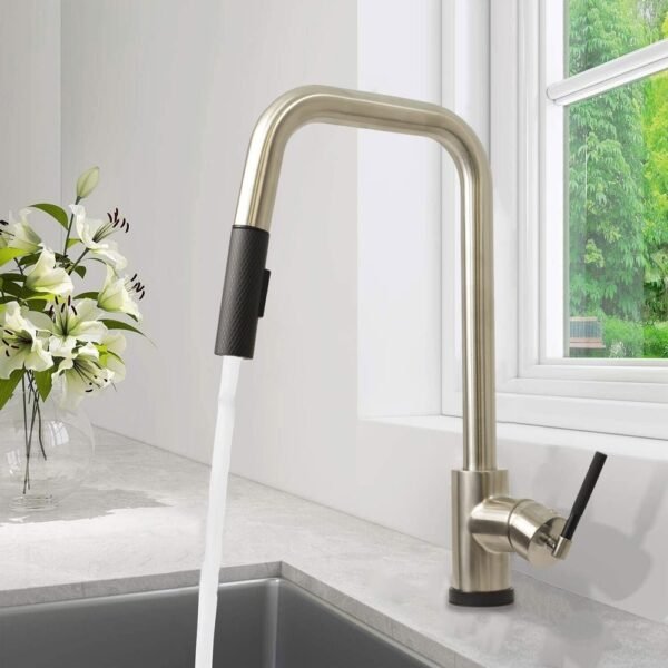 CASCADE Single Handle Pull-down Spray Kitchen Faucet